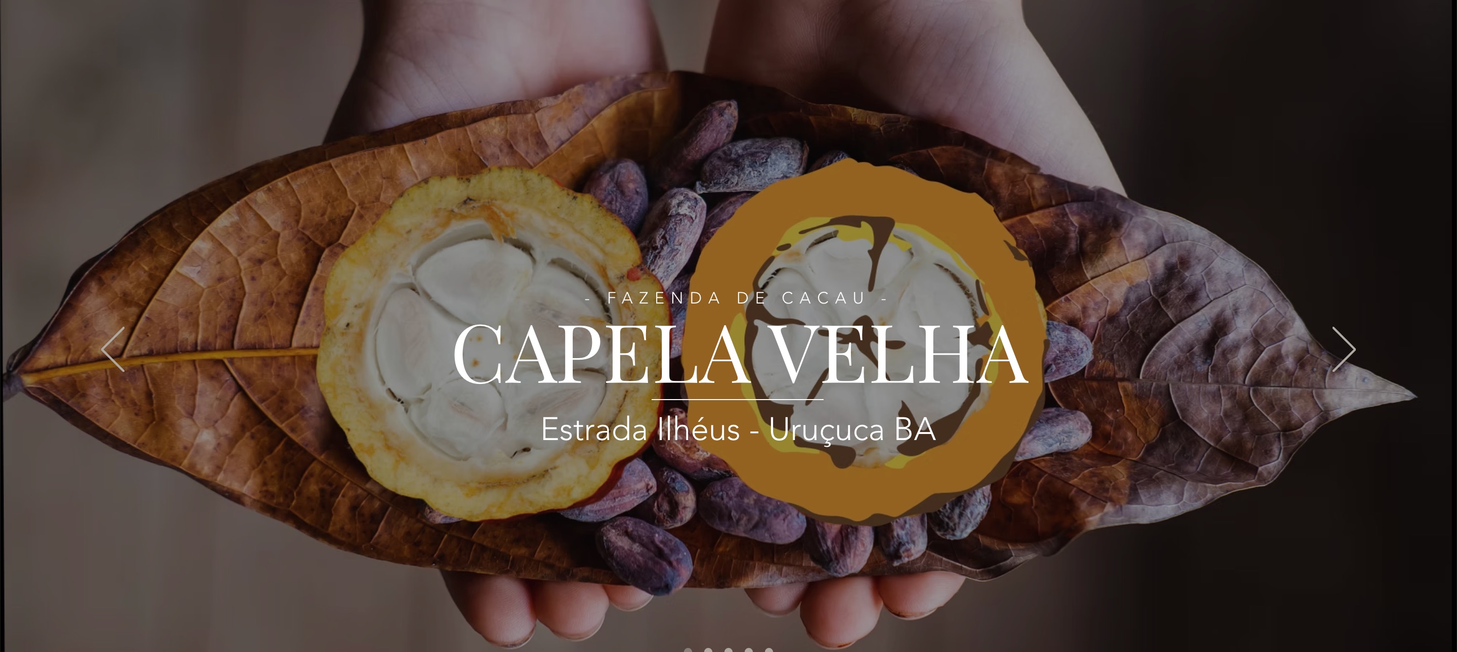 Fazenda Capelavelha - Women-Owned Farm, Bahia, Brazil