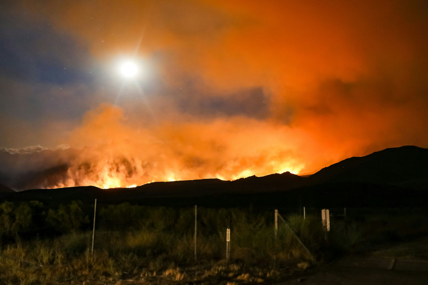 The Connection Between Wildfires And Climate Change A Growing Global Crisis