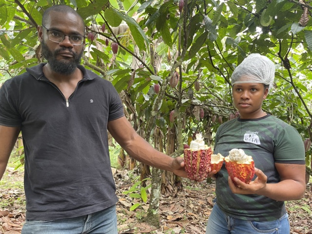 Cacao nibs — minerals, wellness context, and bean uses