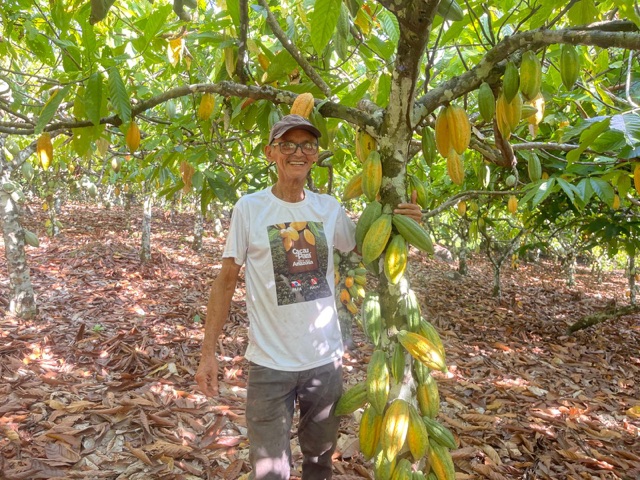 The Magic of Terroir: How Place Shapes the Extraordinary Flavors of Cacao