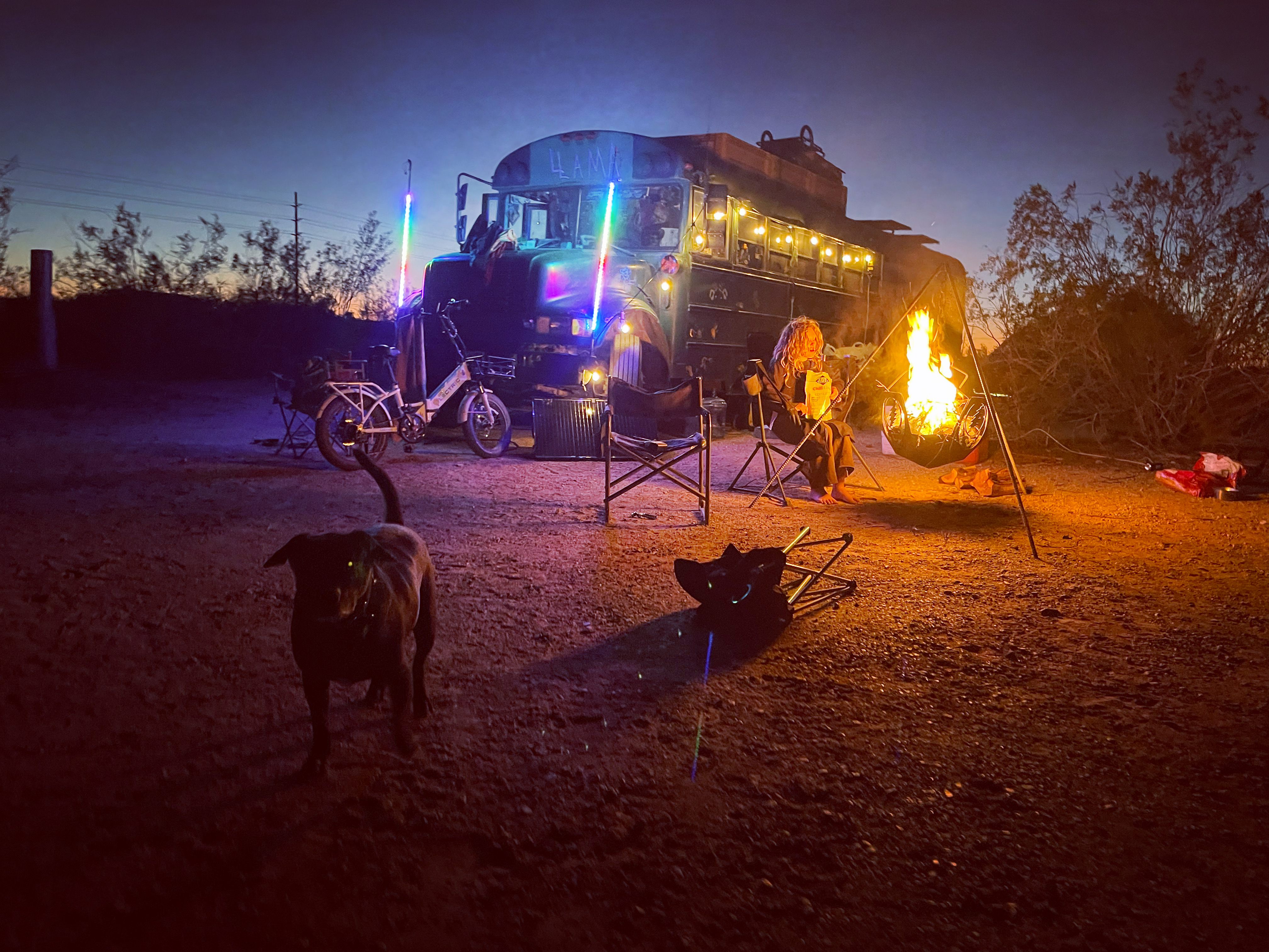 Desert gathering celebration