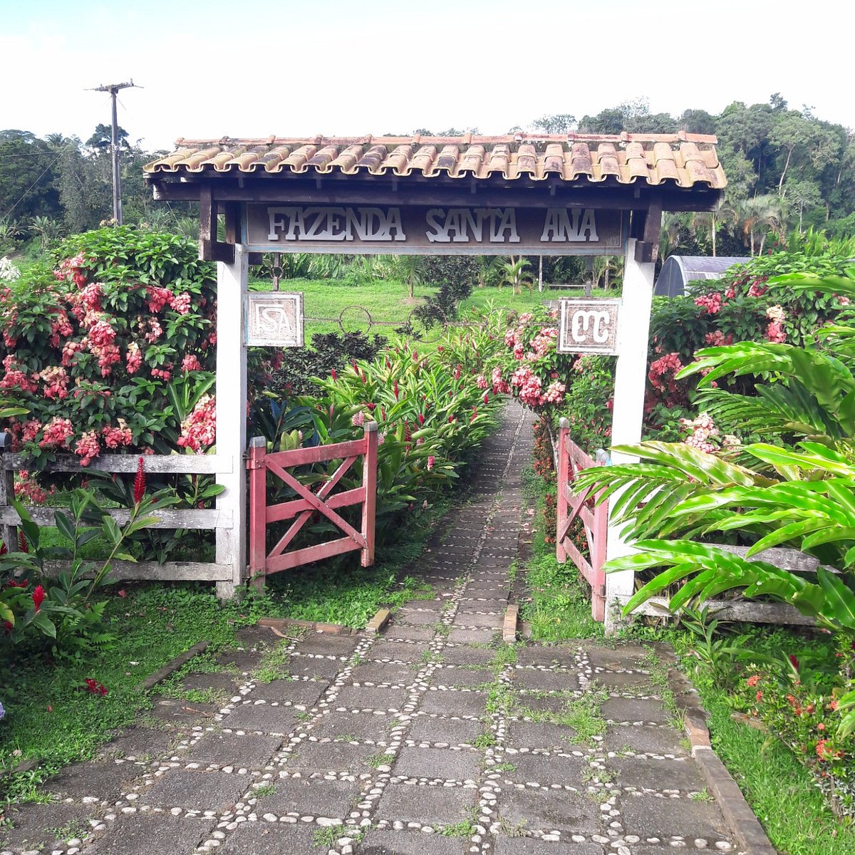 Fazenda Santa Ana - Bahia, Brazil