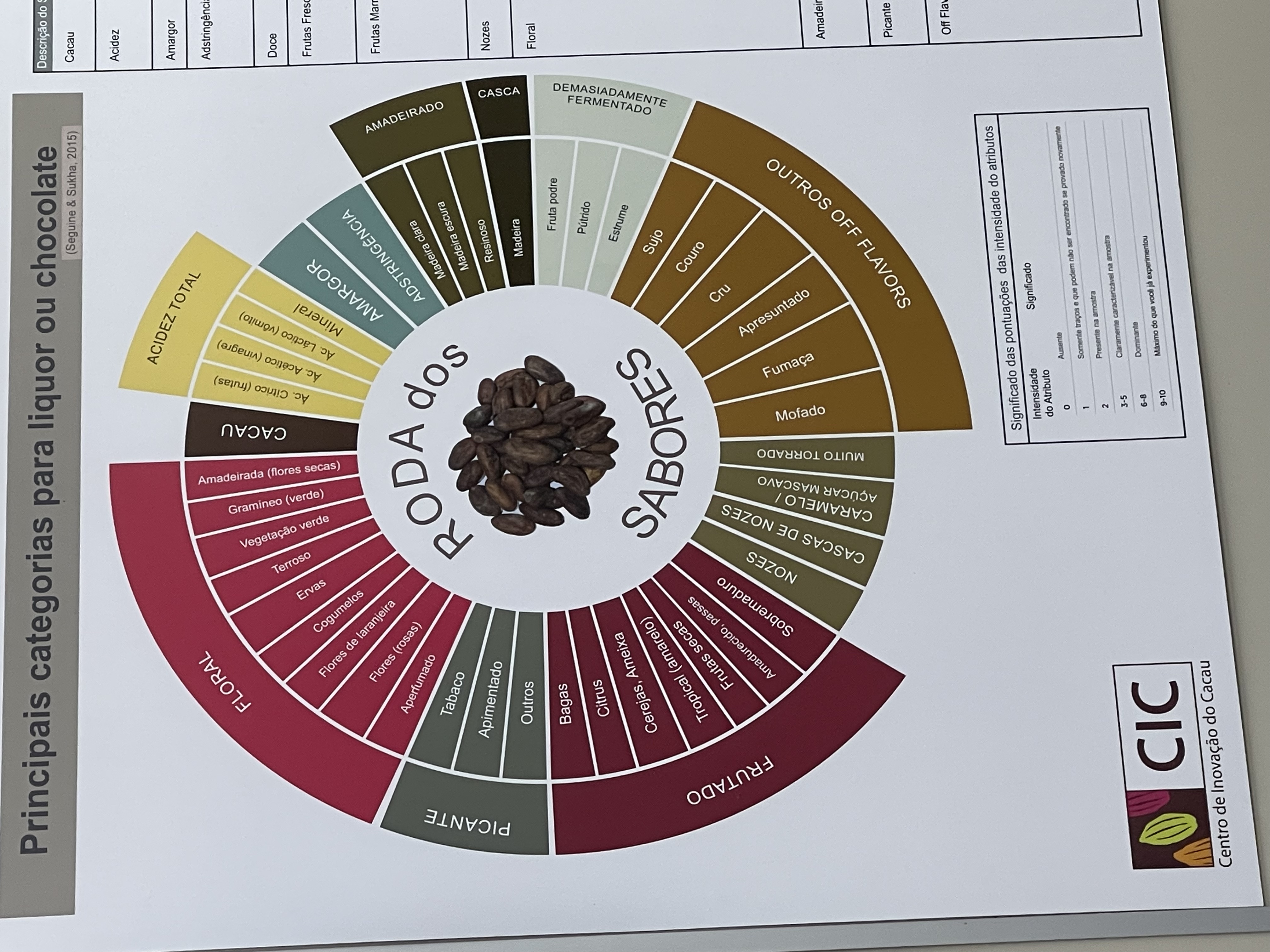 The cacao tasting wheel at CIC