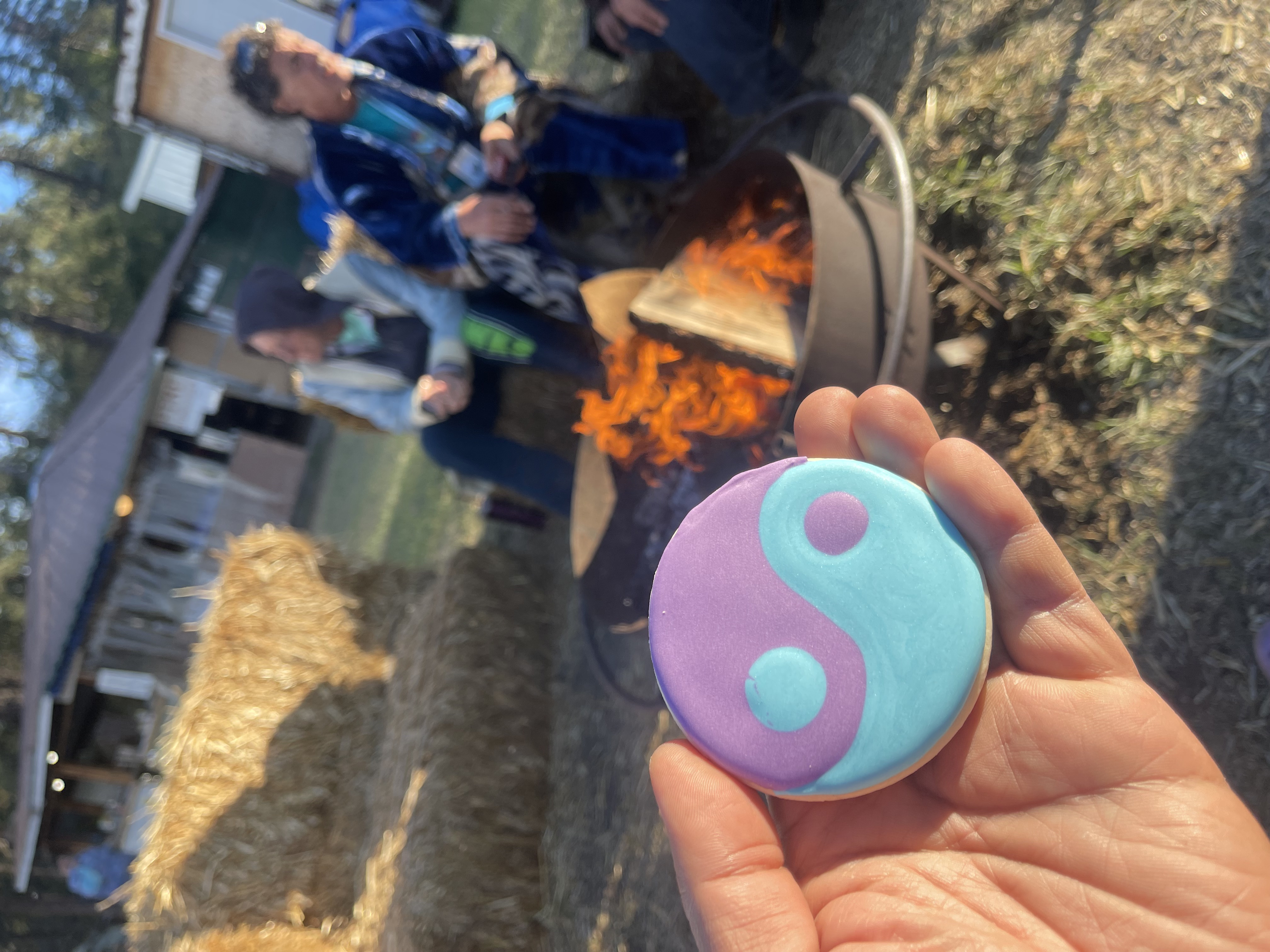 Agroverse cacao at Okanogan Family Barter Faire